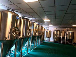 2019年北京精釀啤酒設(shè)備廠家管道設(shè)備全新報價解析